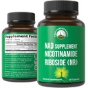 Nicotinamid Riboside NR Supplement. NMN Alternativ NAD Supplement + Niacinamid For NAD + niveauer som vi alder. Tredjeparts testet, Non- GMO, Gluten Free, Vegan NR Vitamin Kosttilskud til kvinder og mænd