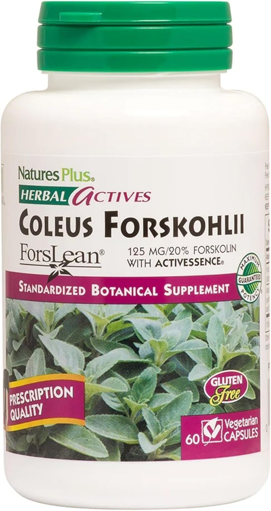 NaturPlus Herbal Actives Coleus Forskohlii - 60 vegetariske kapsler - Gluten Free - 60 Servere