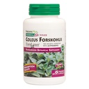 NaturPlus Herbal Actives Coleus Forskohlii - 60 vegetariske kapsler - Gluten Free - 60 Servere