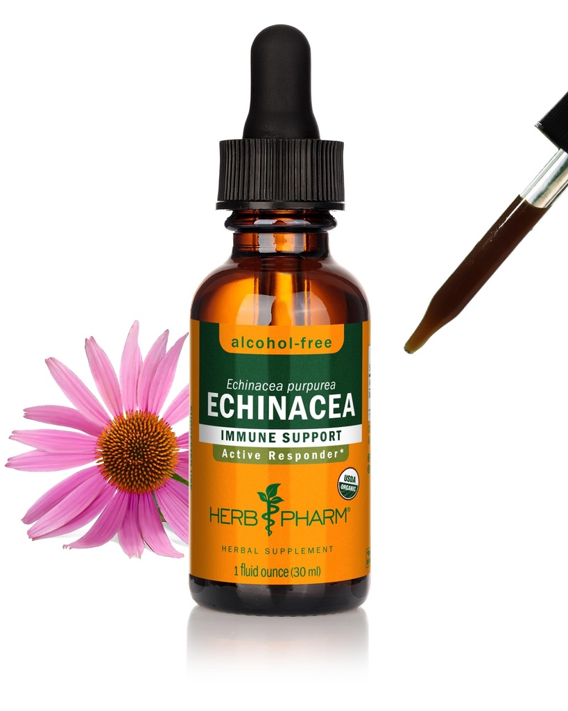 Herb Pharm Organic Echinacea Root Extract, Alkohol- Free: Immunsystemet Support til alle årstider, Fast- Fungerende Echinacea Plant Supplement, Non- GMO, Vegan & Gluten- Free, 1 Oz