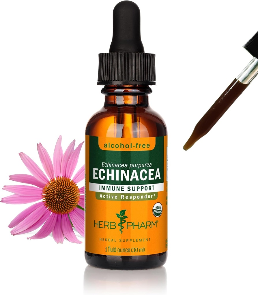 Herb Pharm Organic Echinacea Root Extract, Alkohol- Free: Immunsystemet Support til alle årstider, Fast- Fungerende Echinacea Plant Supplement, Non- GMO, Vegan & Gluten- Free, 1 Oz