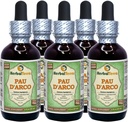 PAU d 'arco (Tabebuia Impetiginosa) Glycerit, Tørret Bark Alkohol- Free Liquid Extract (Brand Name: HerbalTerra, Stolt Made in USA) 5x2 fl.oz (5x60 ml)