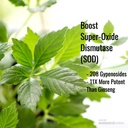 Immunogenitea Gynostemma kapsler (Jiaogulan) - Whole Leaf Full Spectrum - Natural Adaptogen & AMPK Activator Supplement - Veggie kapsler - 100 Count, 500mg