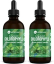 360 Nutrition Chlorophyll Flydende dråber med pebermynte olie, GF & Vegan Body Intern Deodorant Supplement, Understøtter Gut sundhed, fordøjelse, energi, strålende hud, hurtig absorption (4 Fl Oz (2 Greve))