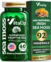 Fremstillede Irske Hav Moss Kapsler med Burdock Root & Bladderwrack - USA Made Sea Moss Avanceret til hår, hud, immunforsvar & energiniveauer Support - SeaMoss Pills - 60 Veganske Kapsler