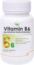 Nutranix BHM Vitamin B6 (Pyridoxine Hydrochloride) Supplement 60 Veg Capsules