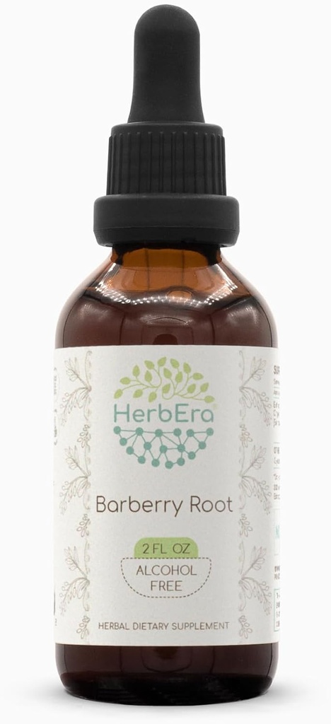 Barberry Root B60 Alkohol- Free Herbal Extract Tinktur, Koncentreret Flydende Drops Natural Barberry (Berberis Vulgaris) (2 fl oz)