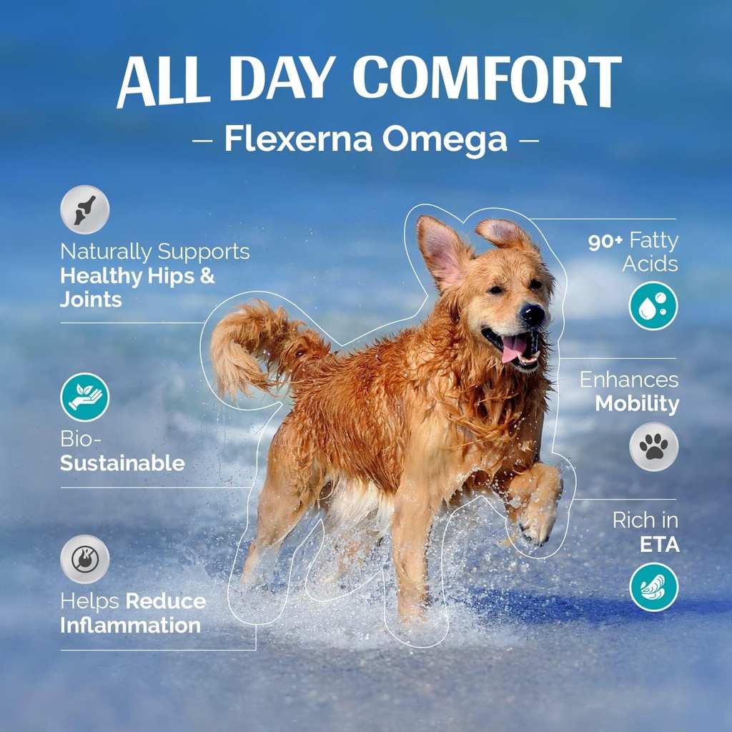 Fælles tillæg for hunde - Rich in Green- Lipped Mussel Extract - Fish Oil - Omega-3 Support - Vet- Formuleret mobilitet & Comfort - 8 Oz flydende pumpe