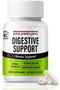JungKwanJang fordøjelsestilskud Wellness Support - Papain 400mg, American Ginseng 143mg, Bromelain 400mg, Gut Health Supplement for fordøjelsesbesvær Comfort og næringsstof Absorption, 60 kapsler til mænd og kvinder