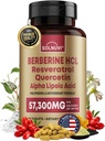 Premium Berberine tillæg med Resveratrol Quercetin Alpha Lipoic Acid - 50: 1 Berberine HCl Complex Potent Antioxidanter, Polyphenoler, Vitality Boost - 90 Vegan tabletter, Non- GMO, Gluten- Free