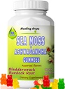 Sea Moss Gummies Ashwagandha med Bladderwrack Burdock Root, Alkaline Keto Vegan non-GMO Diet, Dairy and Gluten Free - af Healing Drops