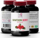 antioxidant supplement til kvinder - HAWTHORN BERRIES Extract - tjørn ekstrakt supplement, bær supplement, antioxidant bær, vilde bær energi, tjørn energi piller til kvinde 1 Bot 60 Kapsler