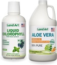 Land Art Aloe Vera Drinkable Gel - Orange Tangerine Flavored - Cold- Forarbejdede - Økologiske Friske Blade - 64floz + Flydende Chlorophyll Mint Flavered - Cold Extracted from Wild non-GMO Alfalfa - 16floz