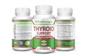 Thyroid Support - Komplet formel til at understøtte energiniveauer med jod, Bladerwrack, Kelp, B12 & More- Thyroid Energy: Boost T4 til T3 supplement - non-GMO