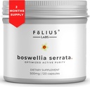 Boswellia Serrata Extract Supplement 500mg - Sund fælles støtte, Muscle Relief Support - 65% Boswellic Acid - Extracted from Indian Olibanum / Frankincense, 120 Caps