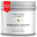 FOLIUS LABS Boswellia Serrata Extract Supplement 500mg - Sund fælles støtte, Muscle Relief Support - 65% Boswellic Acid - Extrahered from Indian Olibanum / Frankincense, 120 Caps