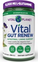 Vital Planet - Vital Gut Renew Powder Supplement for Leaky Gut Reparation med L- Glutamin, Marshmallow og Ginger Root, DGL Licence Root og Organic Aloe Vera, L Glutamin 6000mg 13,76 oz