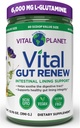 Vital Planet - Vital Gut Renew Powder Supplement for Leaky Gut Reparation med L- Glutamin, Marshmallow og Ginger Root, DGL Licence Root og Organic Aloe Vera, L Glutamin 6000mg 13,76 oz