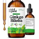 Wild & Organic Ginkgo Biloba Tinktur - Brain & Focus Support med Ginkgo Leaf Supplement - Vegan, Sugar & Alcohol- Free Herbal Extract Tinktur - 2 fl oz