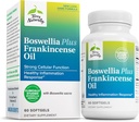 Terry naturligt Boswellia Plus Frankincense Oil - Fælles støtte supplement til støtte mobilitet & fælles komfort - Støtte Cellular Sundhed med Boswellia & Frankincense Oil - 60 Softgels