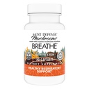 Værtsforsvar vejrtrækning * Kapsler - Immun & Respiratory Support Mushroom Supplement - Urte Lung Health Supplement med Chaga, Reishi & Cordyceps - 30 Kapsler (15 Servere) *