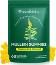 Mullein Gummies for Lung Cleanse, Natural Mullein for Lung Cleanse Support, Lung Cleanse for Rygere, Mullein Herbal Kosttilskud med Chlorophyll (60 Chews)