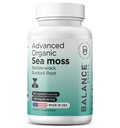 Organic Irish Sea Moss, Bladderwrack & Burdock Root Supplement 1405mg, 60 Veg Kapsler - Immunbooster, Gut Health, Skin Detox & fælles støtte (60 greve (pakke med 1))