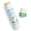Badger Bug Bite Itch Relief Stick, Natural & Organic Anti Itch Cream til Bug Bites, Udslæt & Poison Ivy, Hurtig Itchy Skin Relief Efter Bite, Works Great, Lugter Great, Let at bruge, .6 oz