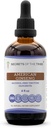 Secrets of the Tribe American Ginseng Tincture Alcohol- Free Liquid Extract, Farm Grown American Ginseng (Panax Quinquefolius) Tørret rod (4 FL OZ)