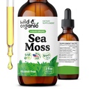 Wild & Organic Sea Moss Liquid Drops - Immunstøtte - Irish Sea Moss og Bladerwrack Tinktur - Multimineral Chondris Crispus Supplement - Vegan, Sukker & Alkohol- Free - 2 fl oz
