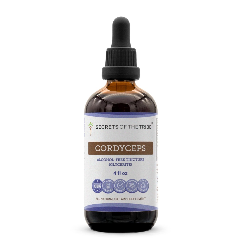 Hemmeligheder af Tribe Cordyceps Alkohol- Free Liquid Extract, Cordyceps Sinensis Tørret Mushroom tinktur supplement (4 FL OZ)