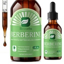Berberine HCL tillæg med Ceylon Cinnamon - Liposomal Berberine Phytosome Flydende dråber med gurkemeje, Ceylon Cinnamon, Bitter Melon, Milk Thistle, AMPK Activator for fordøjelsesstøtte
