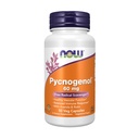 Now Foods Supplements, Pycnogenol 60 mg (en unik Combo af Proanthocyanidin fra Fransk Maritime Pine) med Acerola & Rutin Powder, 50 Veg kapsler