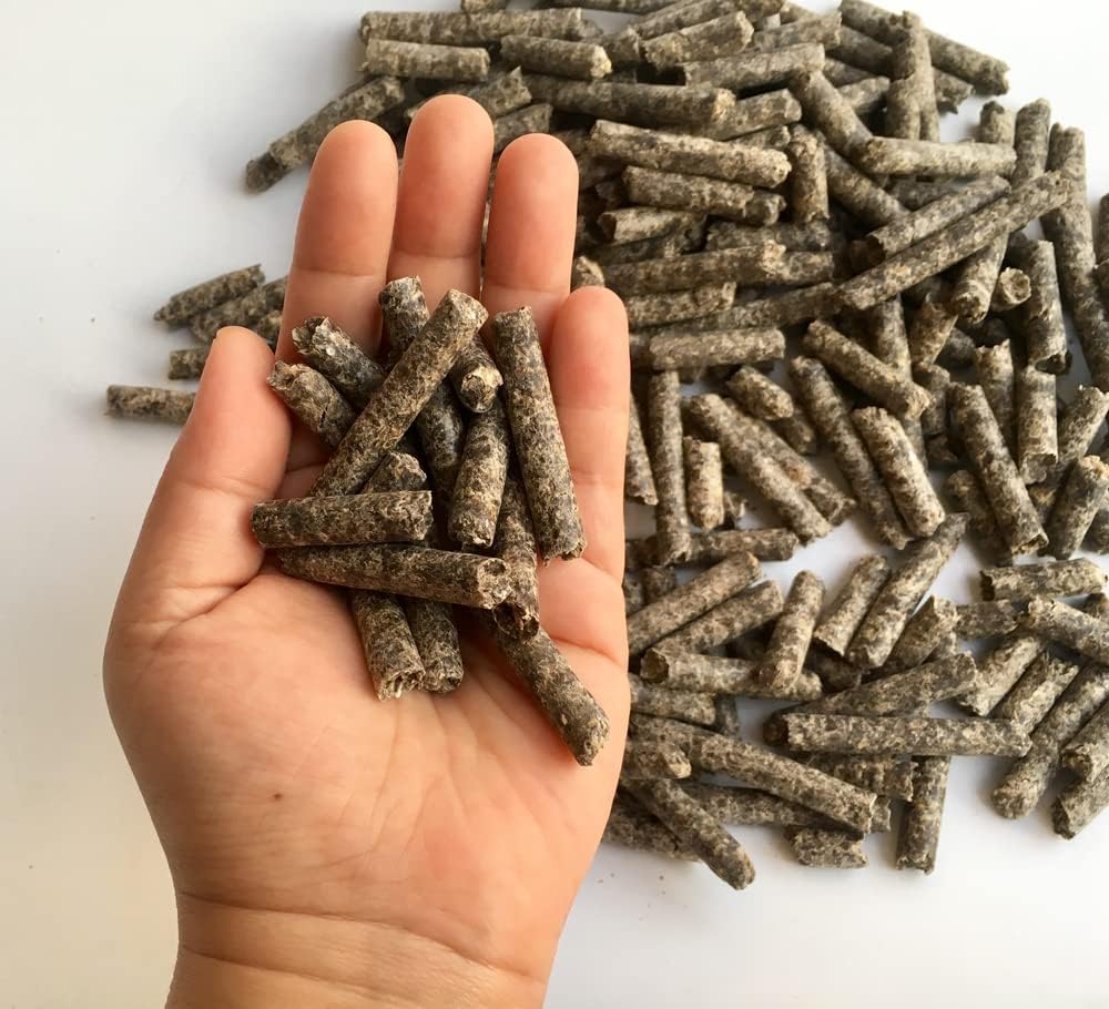 Smart Beet Pellets til fodring - Hest, Pony, Geder, Kvæg foder - God for hjernesundhed og naturlige sødestoffer (12 Ounces)