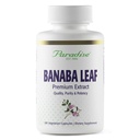 Paradise urter, Banaba Leaf, 12: 1 Koncentreret ekstrakt, 250 mg, Vegan, Glutenfri, Non- GMO, 180 kapsler