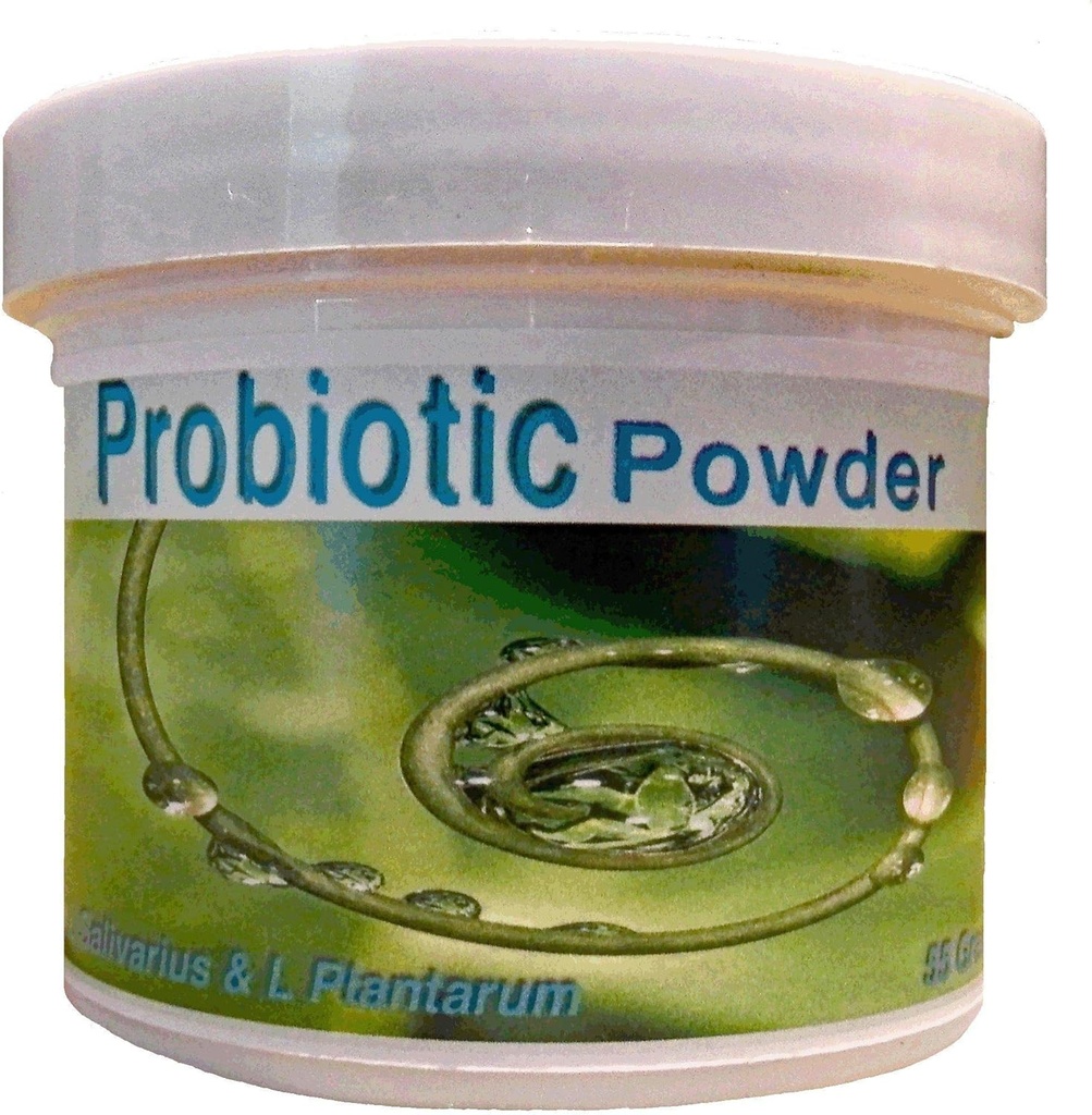 Probiotika Pulver 55 Bedste