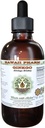 Ginkgo Alkohol- Free Liquid Extract, Organic Ginkgo (Ginkgo Biloba) Tørret Leaf Glycerite Hawaii Pharm Natural Herbal Supplement 4 oz