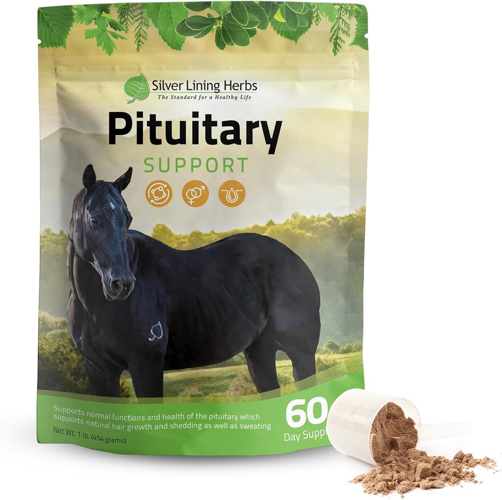 Sølv Lining Urter Pituitary Gland Kosttilskud til heste - Heste Kosttilskud til heste Metabolsk Support, Cushing 's, Sweating & Shedding Issues - Mood & Energy Horse Supplement - 1 LB 60- Day Supply