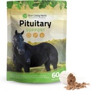 Sølv Lining Urter Pituitary Gland Kosttilskud til heste - Heste Kosttilskud til heste Metabolsk Support, Cushing 's, Sweating & Shedding Issues - Mood & Energy Horse Supplement - 1 LB 60- Day Supply