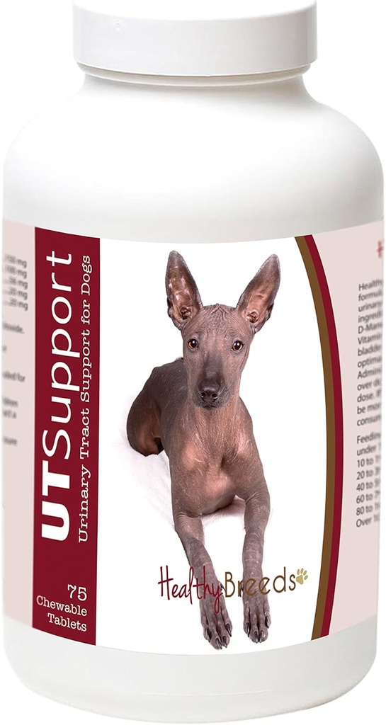 Sunde racer Xoloitzcuintli Cranberry Chewables - UT Support - Effektiv i at hjælpe med at bekæmpe skadelige bakterier & forebygge infektion i din hunds Bstige - 75 Greve