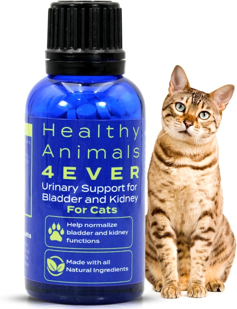 HA4E - Kat UTI Remedy - Naturlig Nyrestøtte til katte - Understøtter Bstige & Urinary Health - Renal Cleanse - Non-GMO, Organic, Chemical-Free - 300 Tabletter