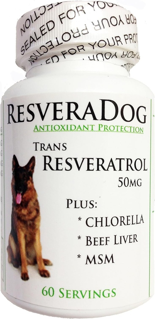 Resveradog: Hund 99% Tran Resveratrol pulver med Argintin Beef lever, MSM & Chlorella