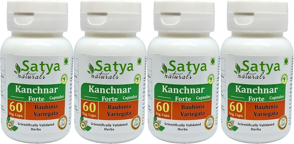 Kanchnar Forte Capsules 500 mg. 60 Veg. Capsule Medical 124; Kanchnar (Bauhinia Variegata) Uddrag Kapsler til mænd og kvinder Medical 124; Ayurvedic Herbal Supplement / Remedies Medical 124; 10: 1 Forte (4 flasker med 60 Kapsler)
