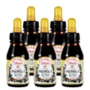 Officiel distributør - 5 flasker af Apiario Silvestre Brasiliansk Grøn Bee Propolis Flydende Glycolic Extract- Non Alkoholic, Wax Free, Sugar Free (PG)