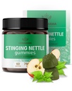 HERBAMAMA Stinging Nettle Gummies - 7500mg Stinging Nettle Root Extract for Urinary Tract Support til kvinder & mænd - Vegan, Non- GMO Urtica Dioica Supplement - 60 Pectin- baseret Apple- Flavored Chews
