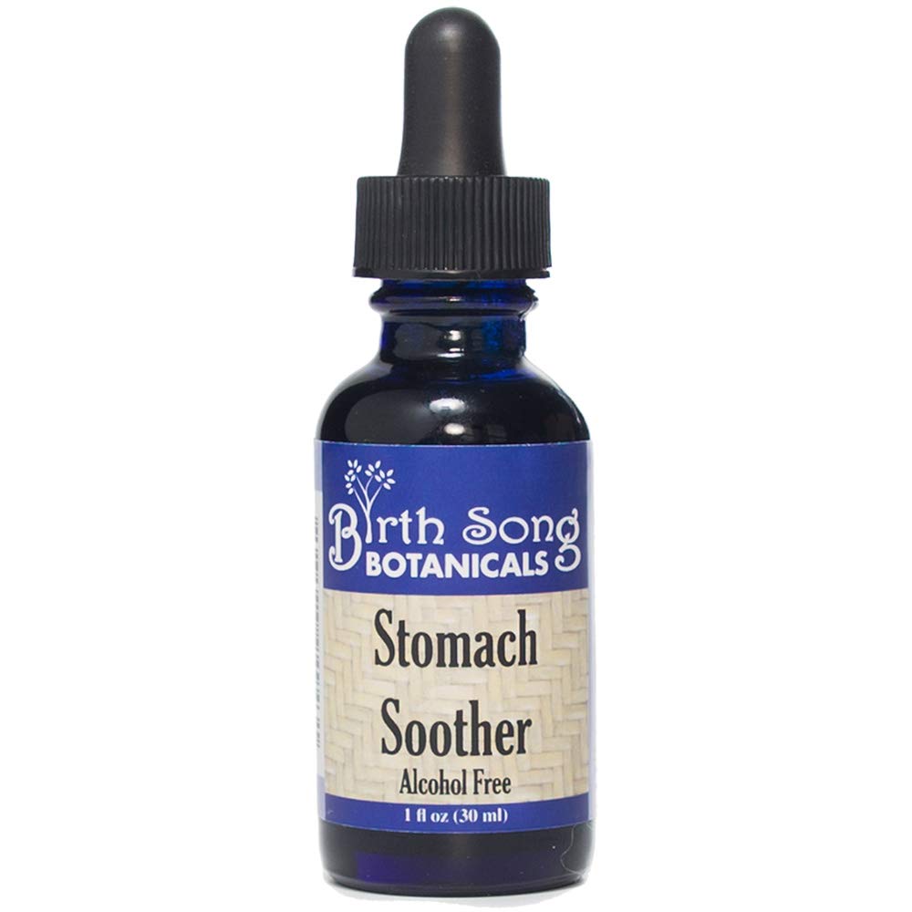 Birth Song Botanicals Stomach Soother Tincture – Herbal Digestion Support Supplement for Upset Stomach & Motion Sickness – Herbal Digestive Aid Supplement, Alcohol‑Free, 1 oz