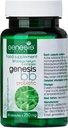 Genesis LABORATORIES Probiotisk tillæg med Bifidobacterium spp. 250 mg 30 Kapsler Immunstøtte Gut Health Probiotika til fordøjelsessygdomme Anti Bloating for mænd og kvinder Gut Gendannelse Probiotika