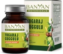 Banyan Botanicals Yogaraj Guggulu - Organic Joint Support Supplement - Ayurvedic Blend for Support The Skeletal and Neurmuscular Systems * - 90 tabletter - Ikke-GMO, bæredygtigt sourced, Vegan