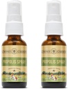 Honey Gardens Bee Propolis Throat Spray 124; med Apiterapi Raw Honey, Licorice Root og Usnea Buddy 124; 50 Servering Buddy 124; 1 Fl Oz Buddy 124; pakke med 2