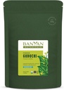 Banyan Botanicals Organic Guduchi Powder - Organic immun Health Supplement - for Natural Detox, Balanceret fordøjelse og sund hud * - 1 LB - ikke-GMO bæredygtigt sour Vegan FFL